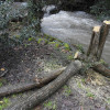 A senda do Gafos con río a piques de desbordar e os operarios retirando pólas