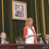 Pleno de investidura de Carmela Silva como presidenta da Deputación de Pontevedra 2019