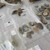 Excavaciones arqueológicas en Santa Clara