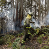 Extinguen na Caeira un incendio forestal
