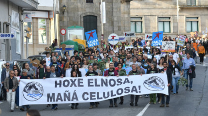 A marcha contra Ence e Elnosa congrega centos de persoas en Marín e Pontevedra