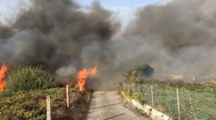 A Garda Civil de Pontevedra, na loita contra o lume