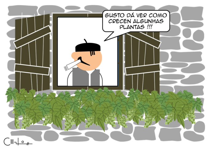 Os Recortiños: Ver crecer as plantas
