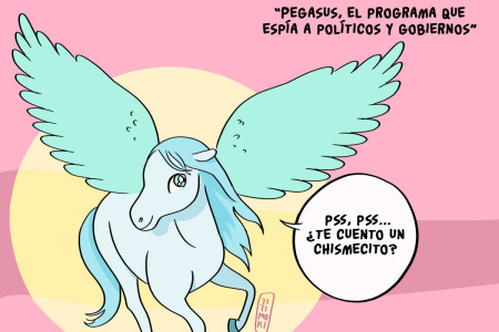 Pegasus rexouba