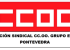 Sección Sindical CC.OO.  Grupo Ence Pontevedra